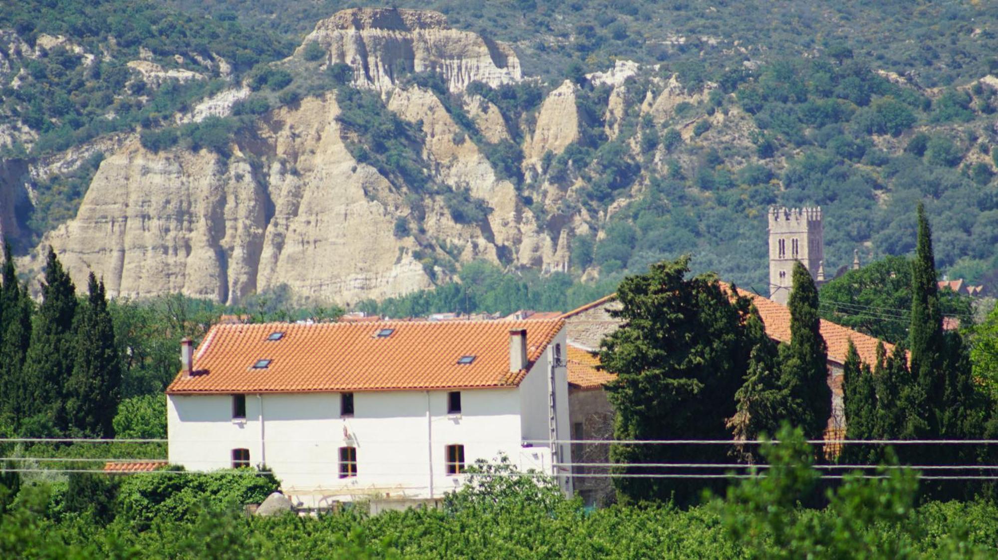 Mas St. Joseph Bed & Breakfast Ille-sur-Tet Exterior photo