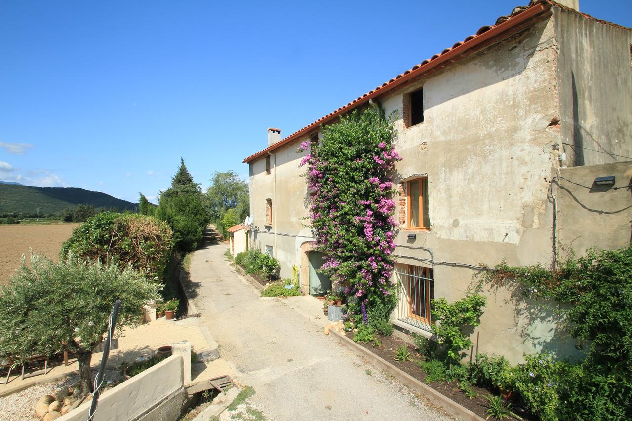 Mas St. Joseph Bed & Breakfast Ille-sur-Tet Exterior photo